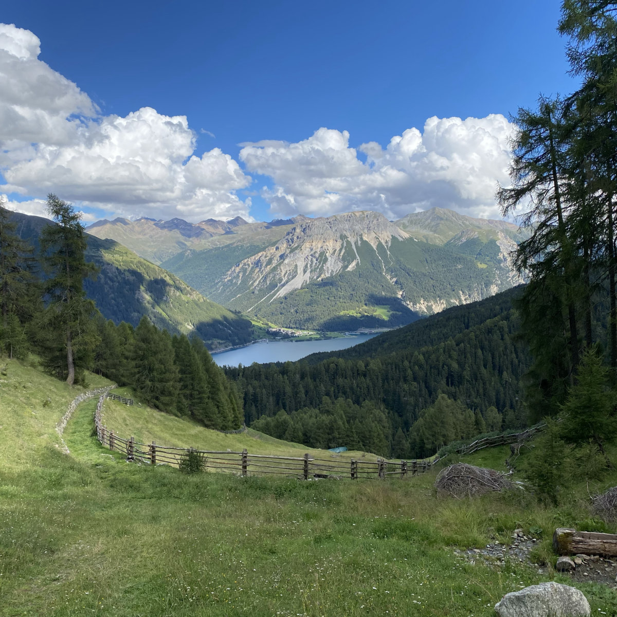 Vorschau
