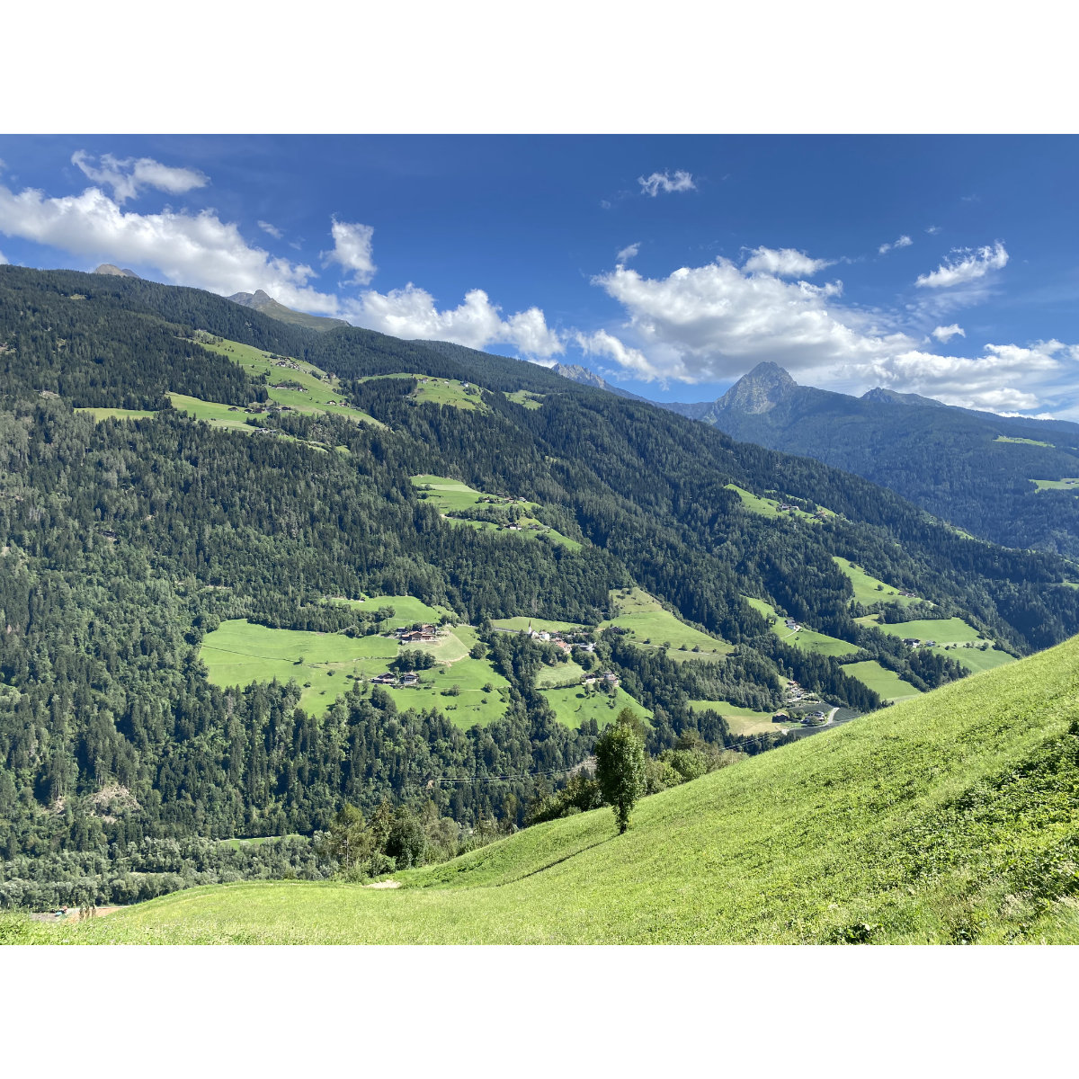Vorschau