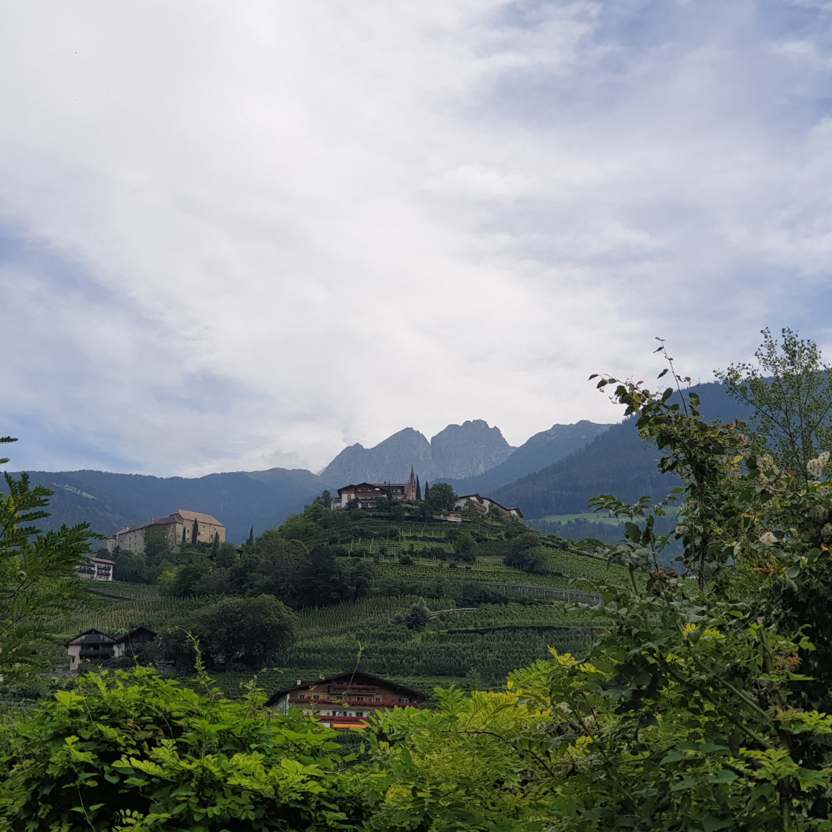 Vorschau