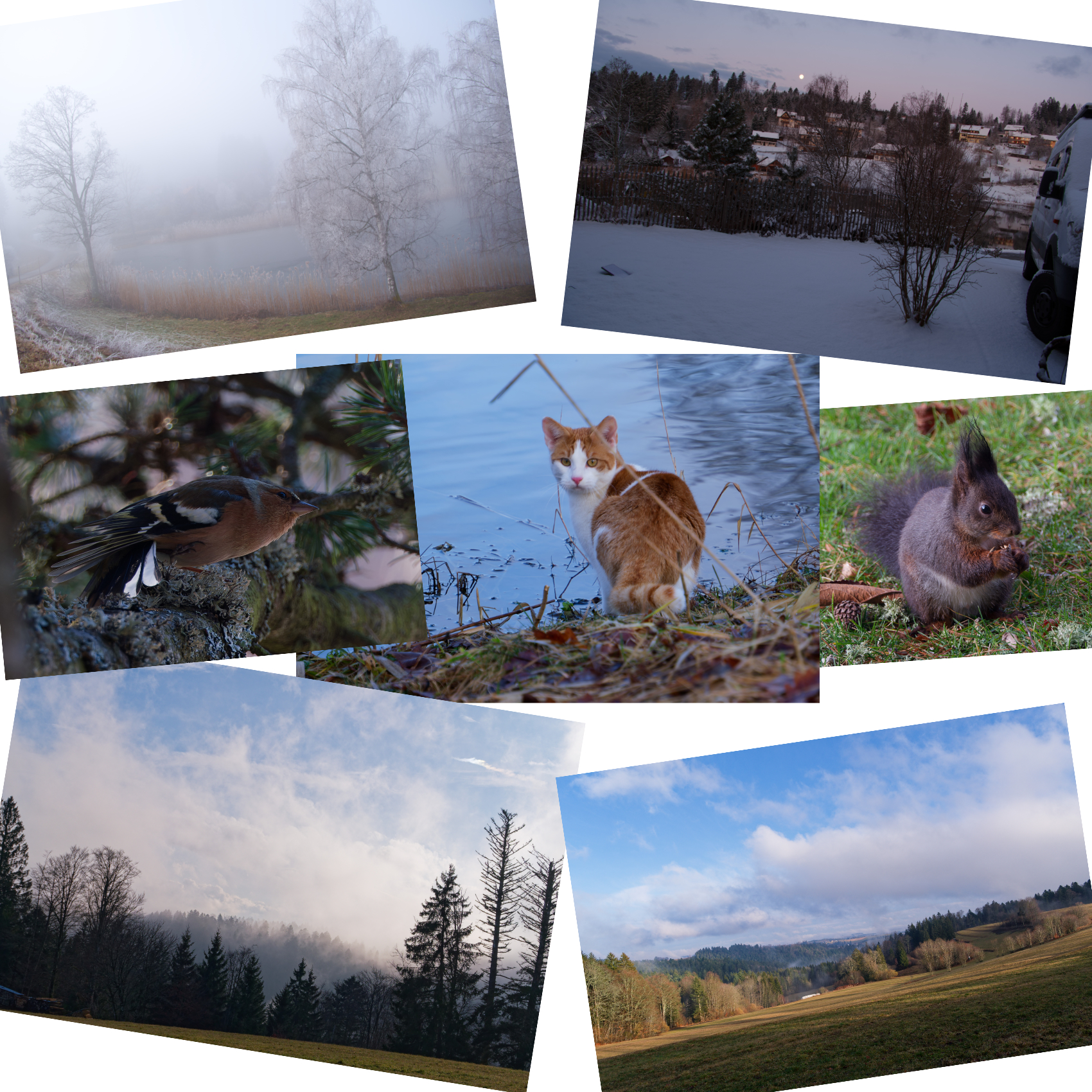 2025 Reisepause im Hotzenwald