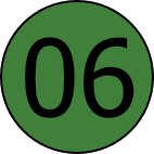 06
